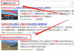 西藏域誠物流有限責任公司與我司做網站推廣項目