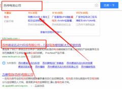 蘇州德凌迅動力科技有限公司與我司做網站建設項目