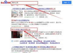 貴州臺典酒業(集團)有限公司和我公司簽訂百度快照排名項目