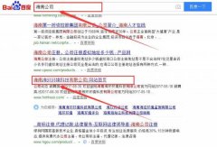 海南海環環境科技有限公司跟本公司簽訂搜索引擎優化項目