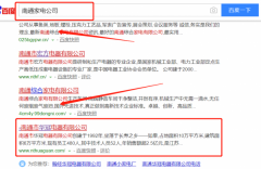 南通市華冠電器有限公司與本司簽約網絡營銷項目