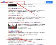 安徽鹽業(yè)地產(chǎn)集團(tuán)有限公司與我司簽下百度關(guān)鍵詞排名首頁(yè)協(xié)議