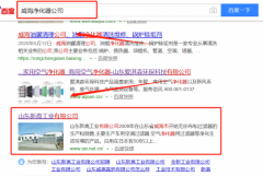 山東新高工業有限公司與海洋網絡簽署萬詞霸屏項目