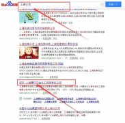 上海賽科石油化工有限責任公司和我公司簽訂SEO推廣項目