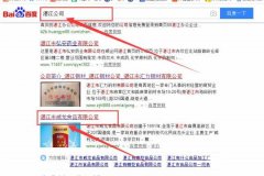 湛江市*龍食品有限公司與海洋網(wǎng)絡(luò)簽署關(guān)鍵詞搜索排名項目