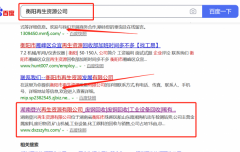 湖南*興再生資源有限公司同我公司簽署全網營銷推廣事宜
