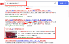 圣*電纜有限公司與海洋網絡簽署萬詞霸屏項目