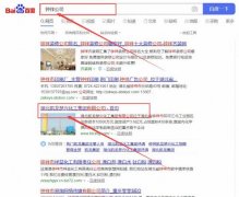 湖北*龍楚興化工集團(tuán)有限公司網(wǎng)站SEO優(yōu)化到首頁(yè)按天扣費(fèi)