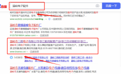溫嶺市*鷗電子有限公司優化排名排名效果展示