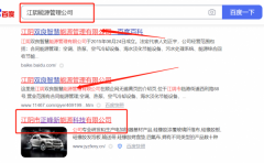 江陰市*峰新能源科技有限公司網站推廣保證在首頁效果