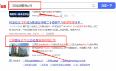江蘇*龍能源有限公司網站推廣網絡營銷優化公司
