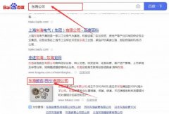 東海*素(蘇州)有限公司網站SEO優(yōu)化讓網站輕松覆蓋在搜索引擎