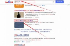 棗莊市*源藥業有限公司網站優化保證在首頁效果