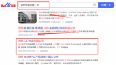 滄州*匯包裝有限公司網絡營銷案例欣賞