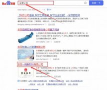 東營(yíng)一*新材料有限公司網(wǎng)站優(yōu)化案例欣賞
