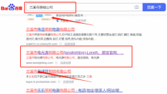 蘭溪市電*源有限公司網站SEO優化案例欣賞