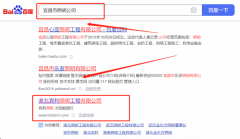 湖北賓*照明工程有限公司網站SEO優化保證在首頁效果