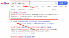 濰坊市匯*電子有限公司SEO優化最快上詞效果展示