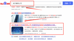 武漢高*通信科技有限公司新站排名品牌營銷策劃機(jī)構(gòu)