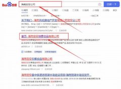 海南定安*泰食品有限公司網站優化整合營銷推廣