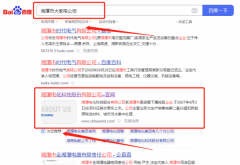 湘潭電*科技股份有限公司網站SEO優化營銷策劃優質品牌