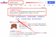 玉環(huán)瑋*電氣有限公司百度關(guān)鍵詞排名保證在首頁(yè)效果