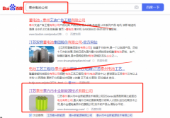 江蘇泰州泰興市*全新能源技術有限公司關鍵詞排名排名效果展示