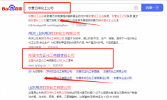 東營市方*化工有限責任公司網站SEO優化到首頁無排名不收費