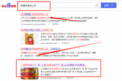 山東嘉*可潤(rùn)滑油有限公司整站優(yōu)化排名效果展示