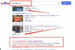 金華市不*玩具有限公司SEO保證在首頁(yè)效果