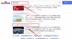 丹東通*電器集團有限公司網站優化保證在首頁效果