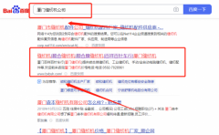 廈門順*縫制科技有限公司SEO優化排名案例欣賞
