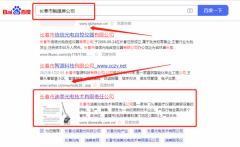 長春市迪*光電技術(shù)有限責(zé)任公司整站優(yōu)化排名案例欣賞