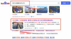 浙江向*葵系統集成有限公司網站排名策劃優質品牌