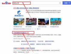 雛*農牧集團股份有限公司網站優化排名效果展示