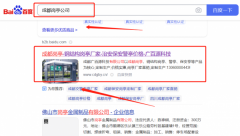 成都*百源科技有限公司整站優化案例欣賞