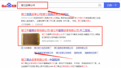 晉江市*暉皮革有限公司SEO品牌營(yíng)銷策劃?rùn)C(jī)構(gòu)