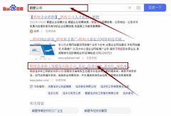 鶴壁佳多*工貿股份有限公司網站優化最快上詞效果展示