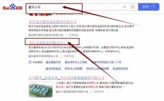 重慶善*科技有限責任公司網(wǎng)站排名最快上詞效果展示