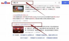 寧夏隆*寧光儀表股份有限公司網站優化保證在首頁效果