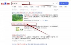 恩施市遠*食品有限公司網站優化保證在首頁效果