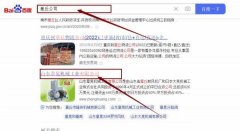 山東章*機械工業有限公司網站排名到首頁按天扣費