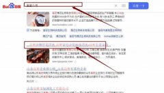 高密宏*家政有限公司網站優化到首頁無排名不收費