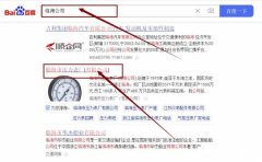 臨海市壓*表廠(有限公司)網站優化最快上詞效果展示