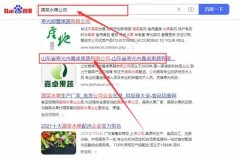 山東省壽光市嘉*果蔬有限公司百度關鍵詞排名整合營銷推廣