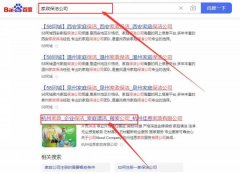 杭州佳*家政服務有限公司整站優化快上詞效果展示